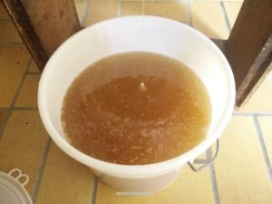 IMG_20160521_141819
